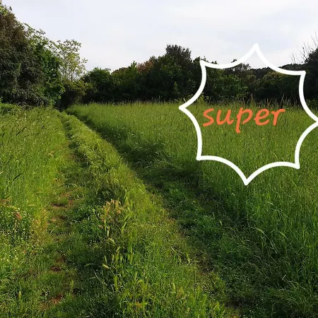 Bm 게스트하우스