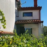 Bm Guest house