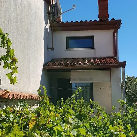 Bm Guest house