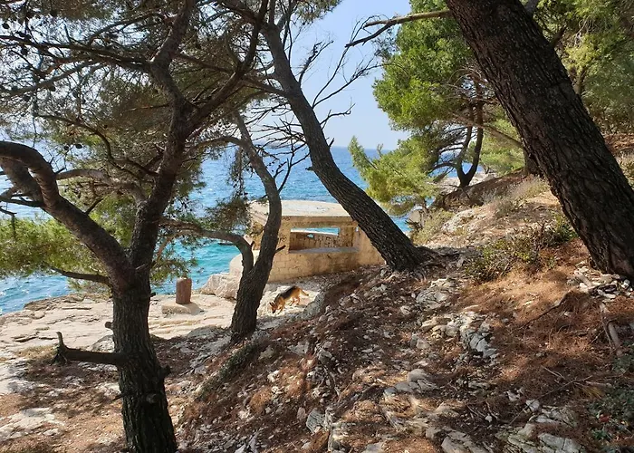 Πανσιόν Bm 3*