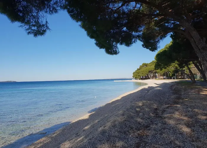 Πανσιόν Bm 3*